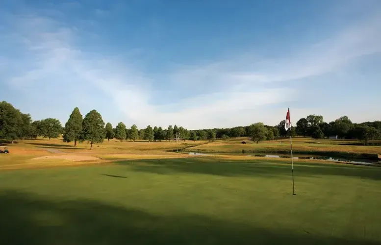 A golf course with a flag on the green, surrounded by trees under a clear blue sky, creates the perfect backdrop for a blog about outdoor adventures. The landscape is open and spacious, with sunlight casting shadows on the grass.